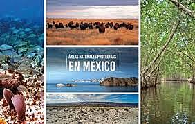 Crecimiento del ecoturismo en Mexico