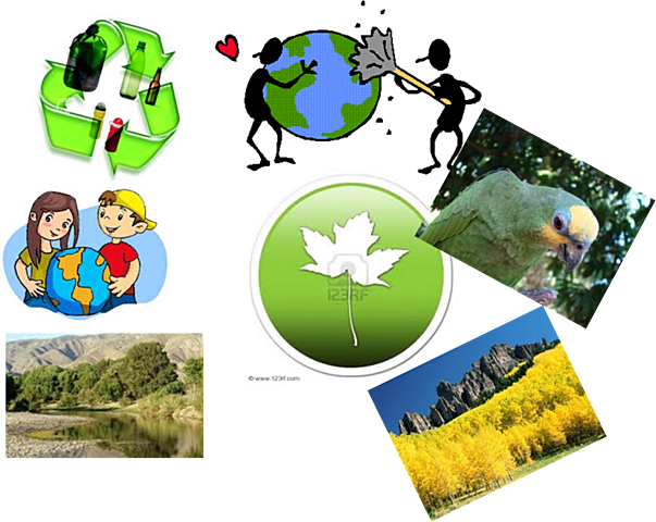 Objetivos generales para una estrategia de ecoturismo