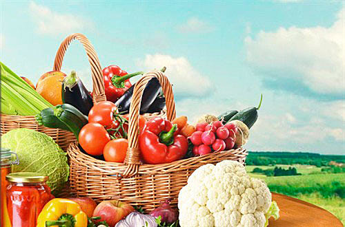 Sistema de alimentos sostenibles.