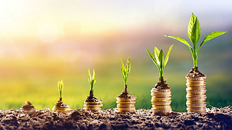 Desarrollo sostenible basado en crecimiento verde.