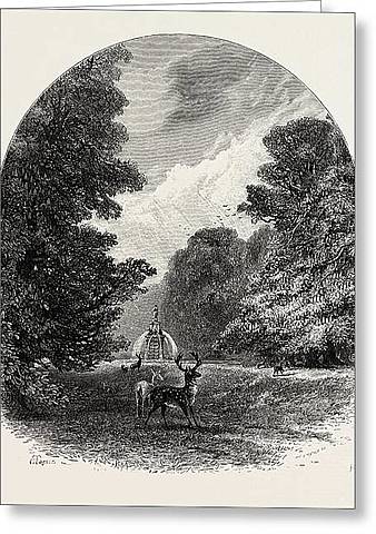 teoría de la evolución