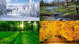 Timeline: Времена года