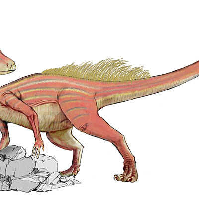 Timeline: Динозавры-уникальные животные прошлого!