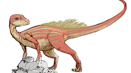 Timeline: Динозавры-уникальные животные прошлого!