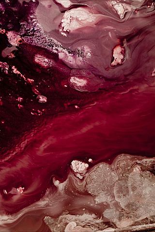 Levi and Henrik kidnapped, a Kshatriyas dies