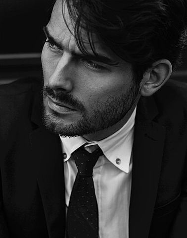 Levi and Torben don't get along