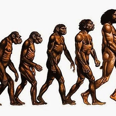 Timeline: Evolución de los hominidos