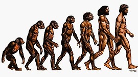 Timeline: Evolución de los hominidos