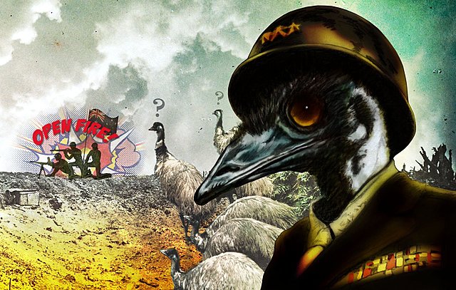 Drugi dan prve kampanje