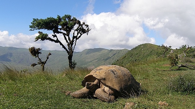 Declaración de Galápagos, Cumbre de autoridades de turismo y de ambiente de ibero América y el caribe