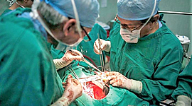 Timeline: Historia de los trasplantes