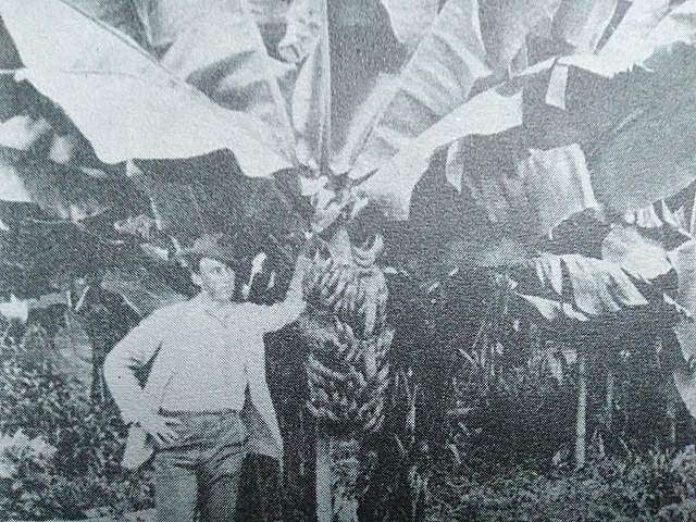 Primera Huelga en Costa Rica