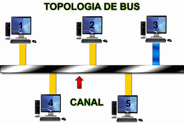 Topología