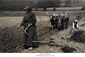 Caída da agricultura