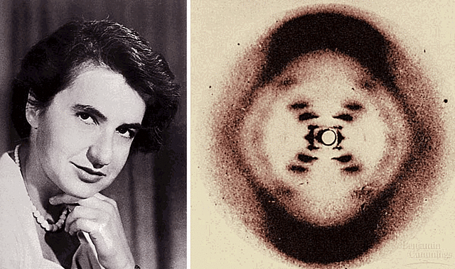 Rosalind Franklin