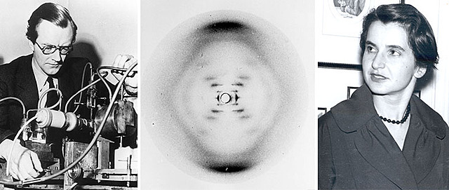 Maurice Wilkins y Rosalind Franklin