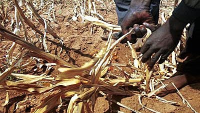 Crisis mundial de alimentos