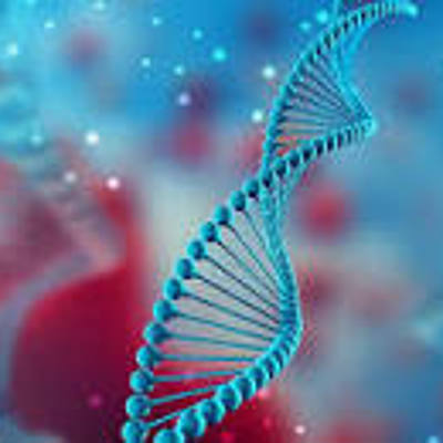 Timeline: L'histoire de la génétique