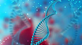 Timeline: L'histoire de la génétique