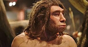 Homo Neanderthalensis
