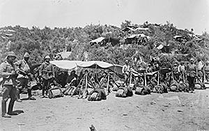 Ofensiva aliada a Gal·lípoli