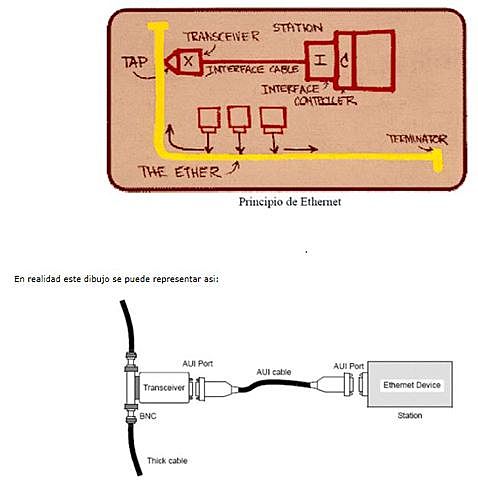 Presentación del Ethernet
