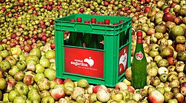 Timeline: Sagardoa egiteko prozesua