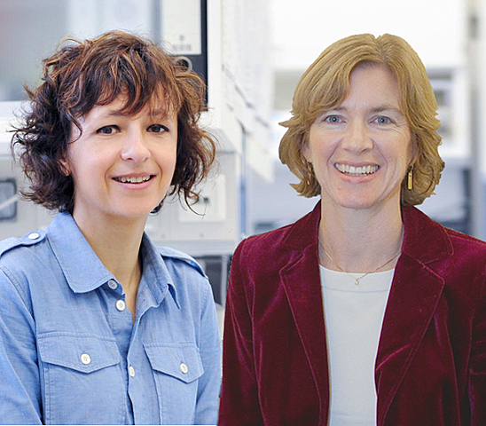 Jennifer Doudna et Emmanuelle Charpentier