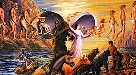 Timeline: MI SALUD MARÍA T MURILLO P