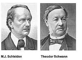 Matthias Jakob Schleiden y Theodor Schwann