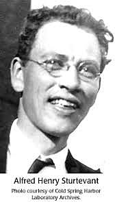 Thomas Hunt Morgan, Alfred Sturtevant