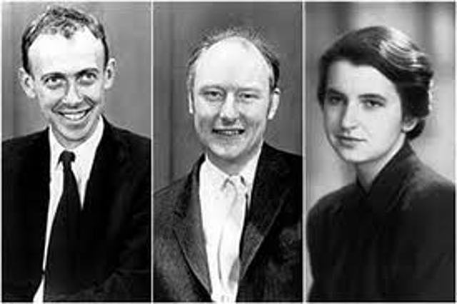 James Watson, Francis Crik et Rosalynd Franklin