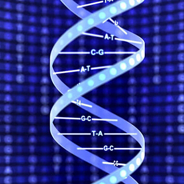Séquençage d'ADN prénatal
