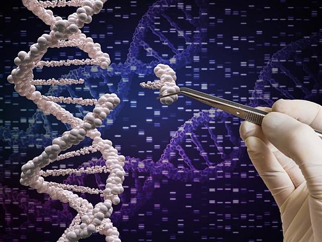 Une version plus précise de CRISPR est inventée