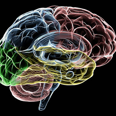 Timeline: HISTORIA DE LA PSICOLOGÍA