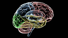 Timeline: HISTORIA DE LA PSICOLOGÍA