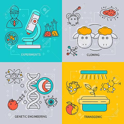 first genetic engineering experiments