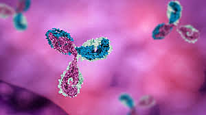 fusion of a cell that produces antibodies