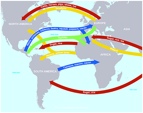 The Columbian Exchange System