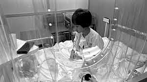 First report of successful bone marrow transplants performed in human patients