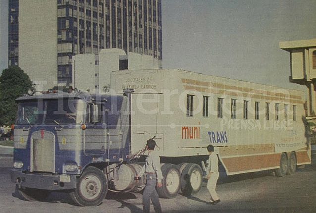 Inicio transporte municipal