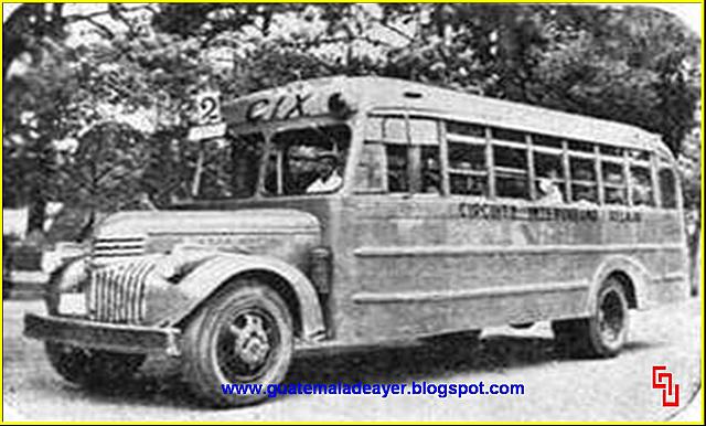 Buses de la Municipalidad