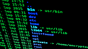 Comunicación (privada) del hombre  en 1994  D.C.