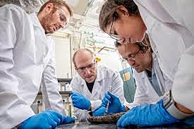 Researchers at University of Washington-Madison demonstrated the possibility of growing skin, bone marrow and blood vessels using plant scaffolds with stem cells