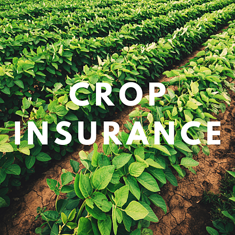 2014 Farm Bill (Crop Insurance changes)