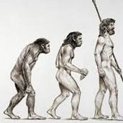 Timeline: Posturas de la evolución.