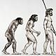 Evolución
