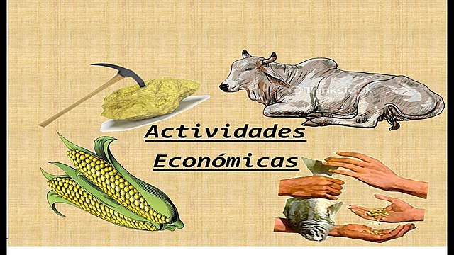 Actividades económicas