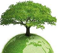 Nuestro futuro común