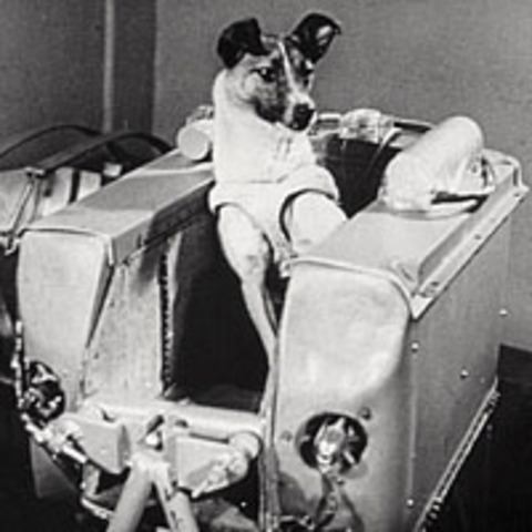 USSR: Sputnik 2 and Laika